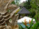 Sri Ratih Cottages beautiful gardenʼs view - Ubud